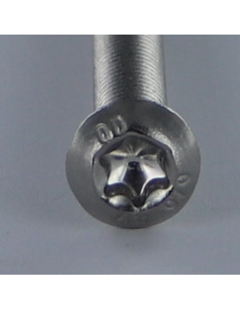 1 x Metallschrauben Kopf Flachkopf T50 M10X70...