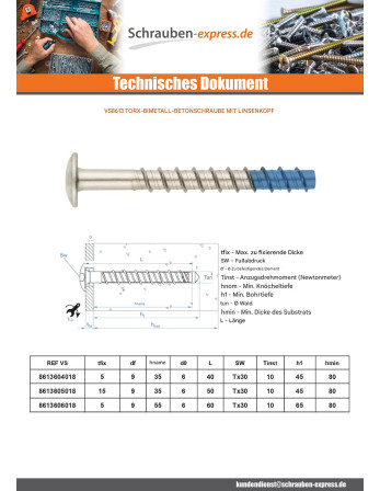 1 x Betonschraube Kopf Flachkopf TORX T30 6x40...