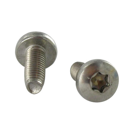 1 x Gewindefurchende Schraube Zylindrischer Halbrundkopf T10 M3X6 Edelstahl A2 Mikroschrauben