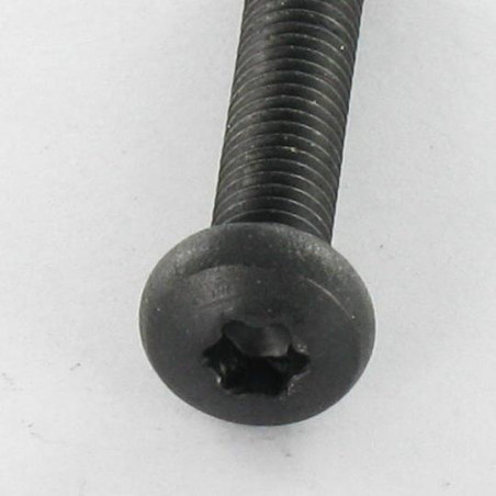 1 x Metallschrauben breitem gewölbtem kopf Edelstahl A2 M5x25 Schwarz T20