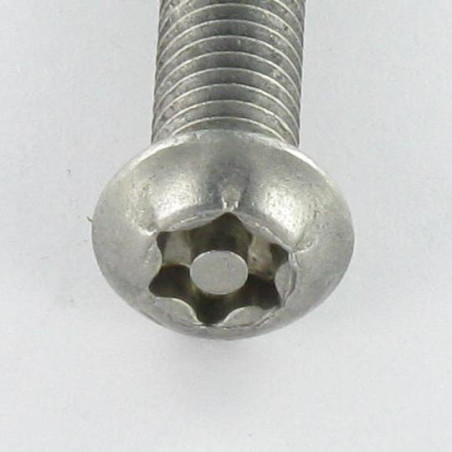 1 x Metallschrauben Edelstahl A2 Sichere Flachkopf T30 mit Zapfen M6X60