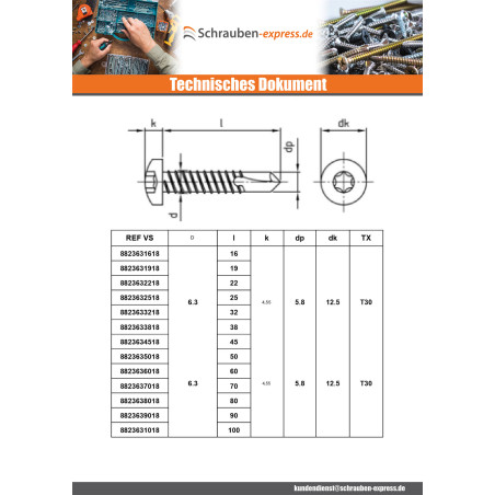 1 x Selbstbohrende Schrauben Zylindrischer Flachkopf 3,5 x 22 T10 Edelstahl AISI 410