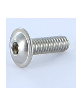 1 x Metallschrauben Flachrundschraube mit...