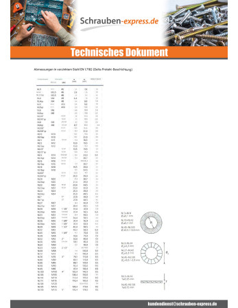 1 x Scheiben/Unterlegscheibe NORD-LOCK ® M4...
