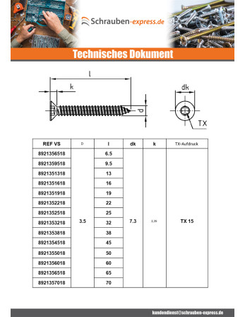 1 x Blechschraube Senkkopfschraube 4,8X13 T25...