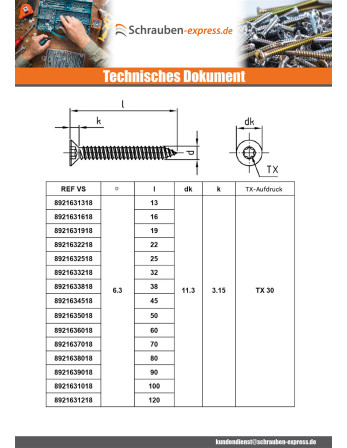 1 x Blechschraube Senkkopfschraube 4,2 x 13 T20...