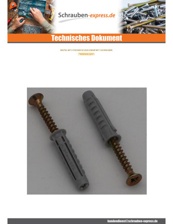 1 x Tüte Von 2 Dübel Fischer SX6 Mit 2 Schraube