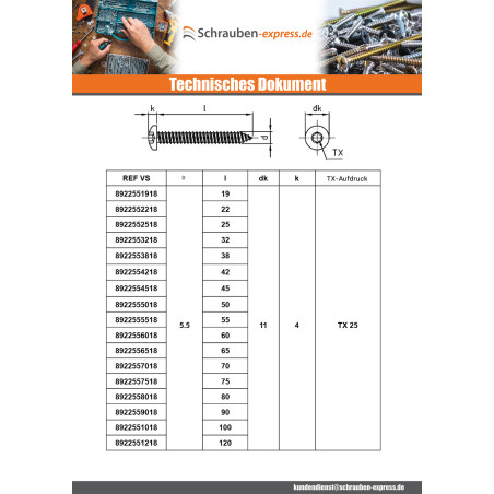 1 x Blechschraube Zylindrischer Halbrundkopf 5,5 x 100 T25 Edelstahl A4