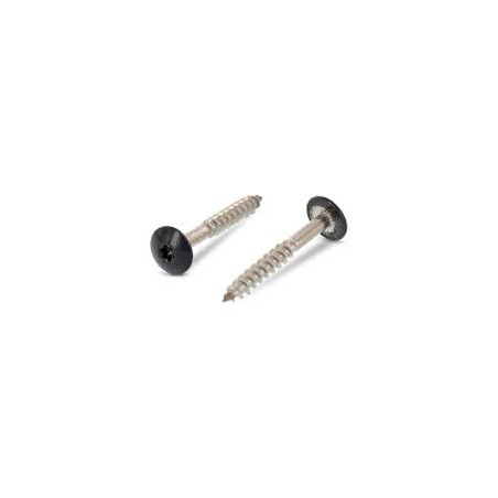 1 x Schraube für Fassade T20 5,5 x 38 Kopf-Durchmesser 12.3 Edelstahl A2 RAL7016 anthrazitgrau
