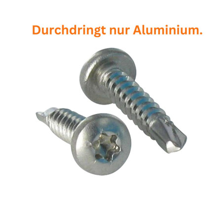 1 x Selbstbohrende Schrauben Zylindrischer Halbrundkopf T15 3,9 x 13 Edelstahl A2