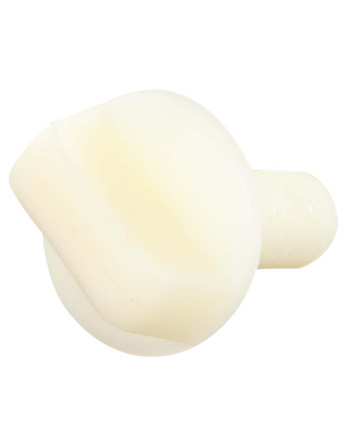 1 x Schraube VIOLINE Nylon M10x25 Type für