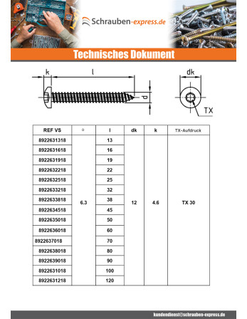 1 x Blechschraube Zylindrischer Halbrundkopf...