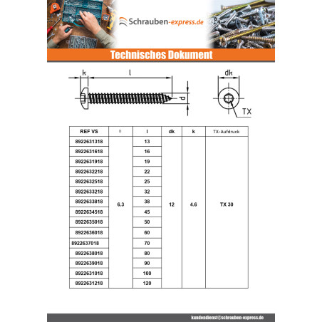 1 x Blechschraube Zylindrischer Halbrundkopf 5,5 x 32 T25 Edelstahl A4
