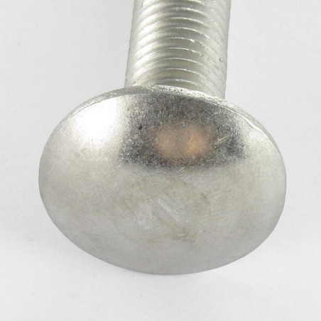 1 x Schlossschrauben Edelstahl A4 M6x45 Teilgewinde