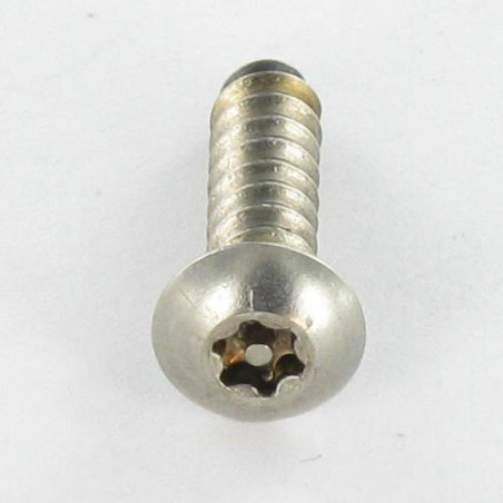 1 x Blechschraube Sichere Edelstahl A2 Zylindrischer Flachkopf T25 mit Zapfen 4,8 x 16