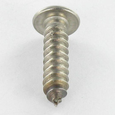 1 x Blechschraube Sichere Edelstahl A2 Zylindrischer Flachkopf T25 mit Zapfen 4,8 x 16