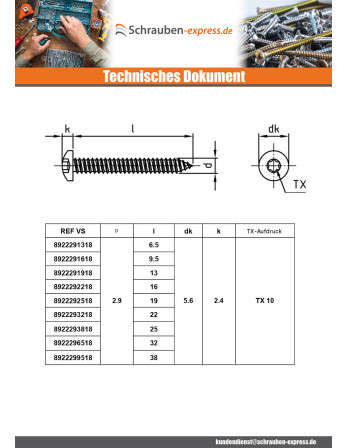 1 x Blechschraube Zylindrischer Halbrundkopf...