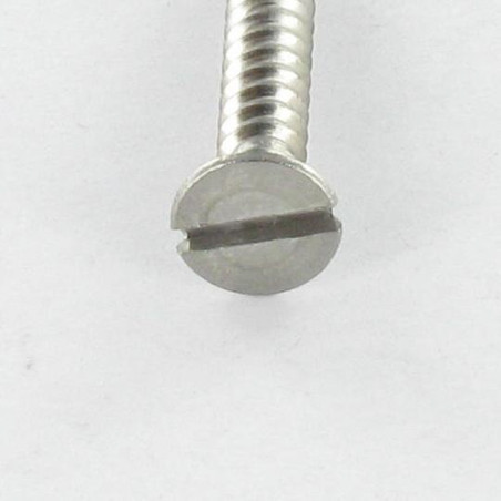 1 x Spanplattenschrauben Senkkopfschraube Gespalten 4x25 Edelstahl A2