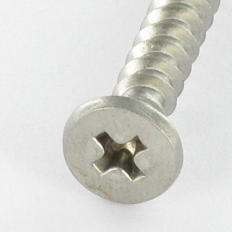 1 x Schraube für Kunststoff Edelstahl A2 Zylindrischer Flachkopf Phillips 5x46