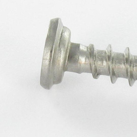 1 x Schraube für Kunststoff Edelstahl A2 Zylindrischer Flachkopf Phillips 5x46