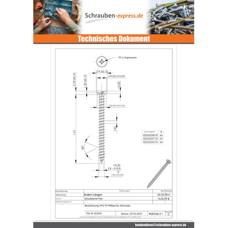 1 x Schraube für Kunststoff Edelstahl A2 Zylindrischer Flachkopf Phillips 5x46