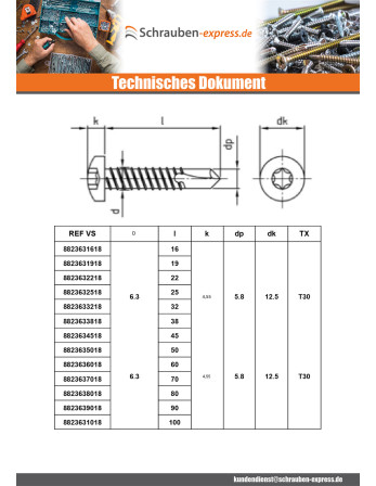 1 x Selbstbohrende Schrauben Zylindrischer...