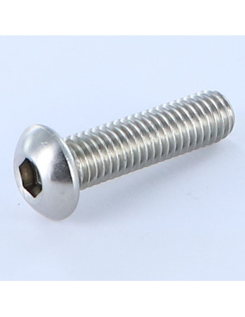 1 x Metallschrauben Flachrundschraube mit...
