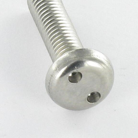 1 x Metallschrauben Sichere Zylindrischer Flachkopf SCHLANGE AUGE M5X30 Edelstahl A2 EMBT10