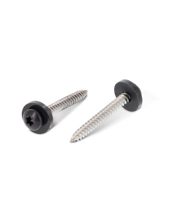 1 x Blechschraube Zylindrischer Flachkopf T15 +...