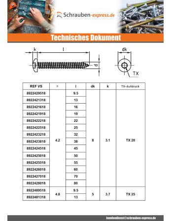 1 x Blechschraube Zylindrischer Halbrundkopf...