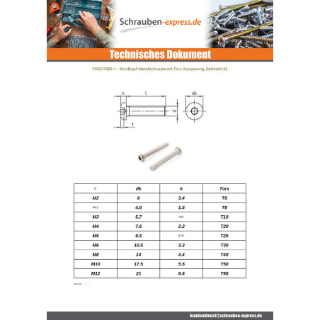 1 x Metallschrauben Kopf Flachkopf T50 M10X55 Gesamtgewinde Edelstahl A2