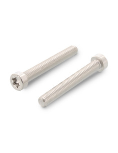 Metallschrauben Zylindrischer Flachkopf Niedrig T25 M5X55...