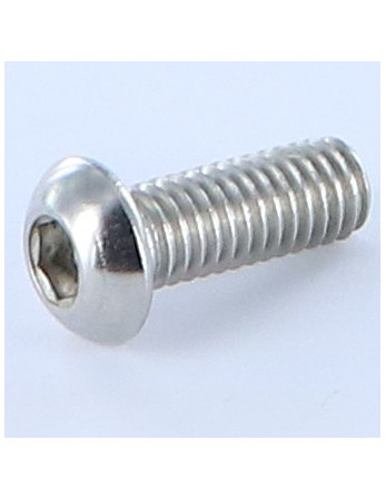 1 x Metallschrauben Flachrundschraube mit...