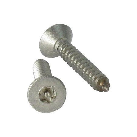 1 x Blechschraube Sichere Edelstahl A2 Senkkopfschraube T25 mit Zapfen 4,8 x 50