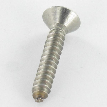 1 x Blechschraube Sichere Edelstahl A2 Senkkopfschraube T25 mit Zapfen 4,8 x 50