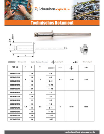 1 x Niet Blind Alle Edelstahl A4 Flachkopf 3x10