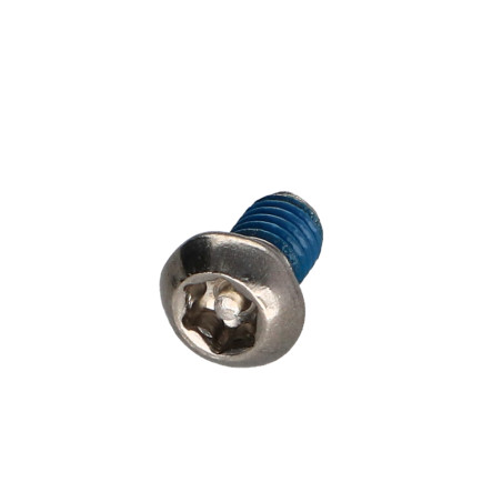 1 x Metallschrauben Edelstahl A2 Sichere Flachkopf T30 mit Zapfen M6X10+ Schraubensicherung