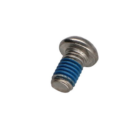 1 x Metallschrauben Edelstahl A2 Sichere Flachkopf T30 mit Zapfen M6X10+ Schraubensicherung