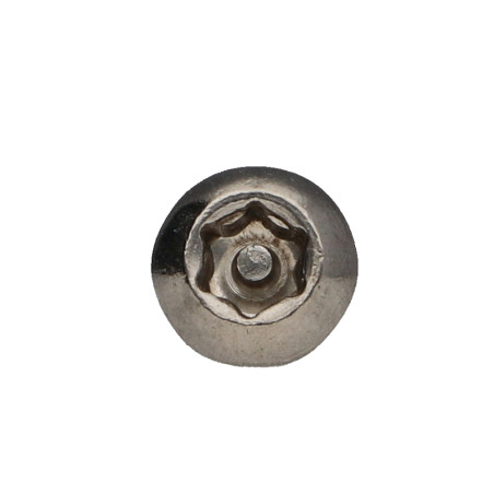 1 x Metallschrauben Edelstahl A2 Sichere Flachkopf T30 mit Zapfen M6X10+ Schraubensicherung