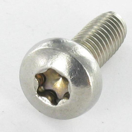 1 x Gewindefurchende Schraube Zylindrischer Halbrundkopf T8 M2,5 x 6 Edelstahl A2 Mikroschrauben