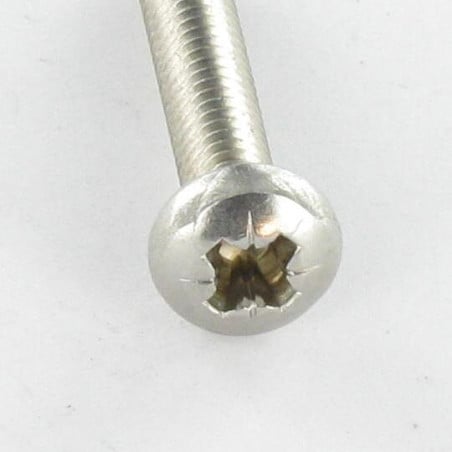 1 x Gewindefurchende Schraube Zylindrischer Halbrundkopf M6x16 Pozi PZ4 Edelstahl A2