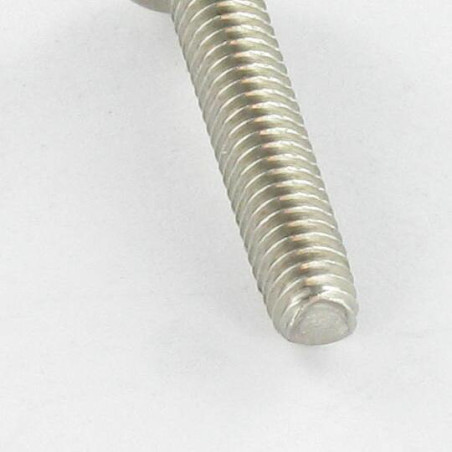 1 x Gewindefurchende Schraube Zylindrischer Halbrundkopf M3X5 Pozi PZ2 Edelstahl A2 Mikroschrauben