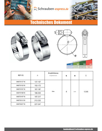 1 x Schlauchschelle perforiertes Band 13...