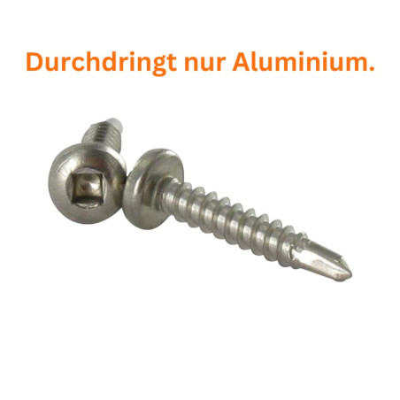 1 x Selbstbohrende Schrauben Zylindrischer Flachkopf Carr 4,8 x 50 Viereckig 2 Edelstahl A2