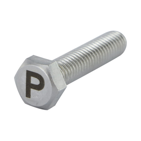 1 x Metallschrauben Sechskantkopf 8x35 Edelstahl A4 mit Buchstabengravur "P"