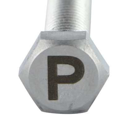 1 x Metallschrauben Sechskantkopf 8x35 Edelstahl A4 mit Buchstabengravur "P"