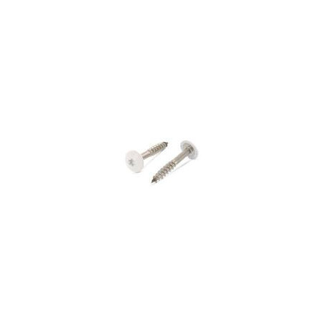 1 x Schraube für Fassade T20 4,8 x 32 Kopf-Durchmesser 12.3 Edelstahl A2 RAL1013 perlweiß