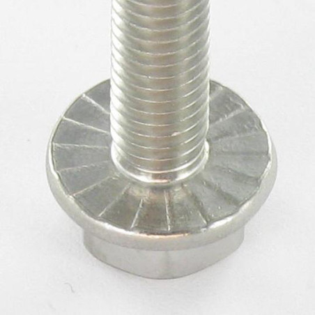 1 x Metallschrauben Sechskantkopf Kreuzschlitz mit gezahntem Flansch M5X8 Edelstahl A4