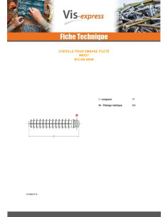Dübel Mit Gewinde Für Kreuzschlitz mit Flansch M6X37... 2