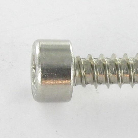 1 x Blechschraube Innensechskantschraube Edelstahl A2 4,8 x 19